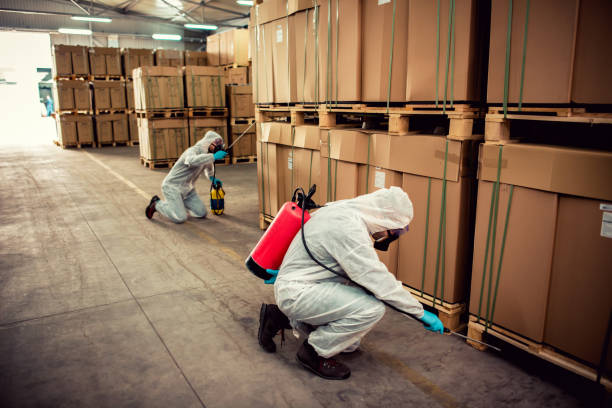 Best Best Pest Control Companies  in Syosset, NY