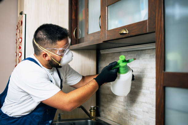 Best Commercial Pest Control Services  in Syosset, NY