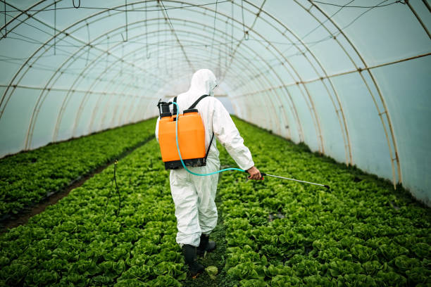 Best Pest Removal Services  in Syosset, NY
