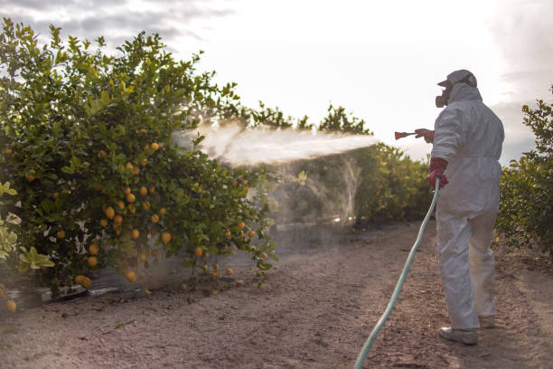Best Pest Prevention Services  in Syosset, NY