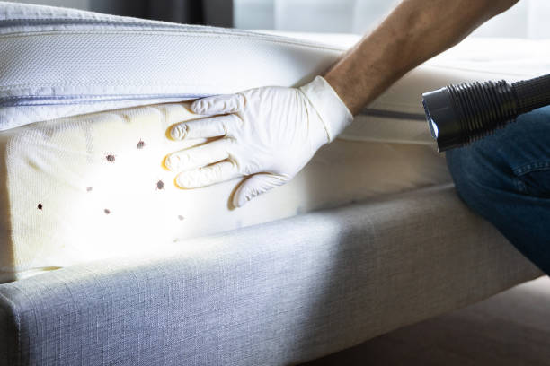 Pest Prevention Services in Syosset, NY