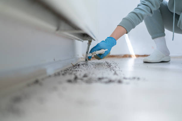 Best Affordable Pest Control Services  in Syosset, NY